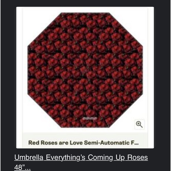 Red Roses Umbrella - Picture 1 of 1